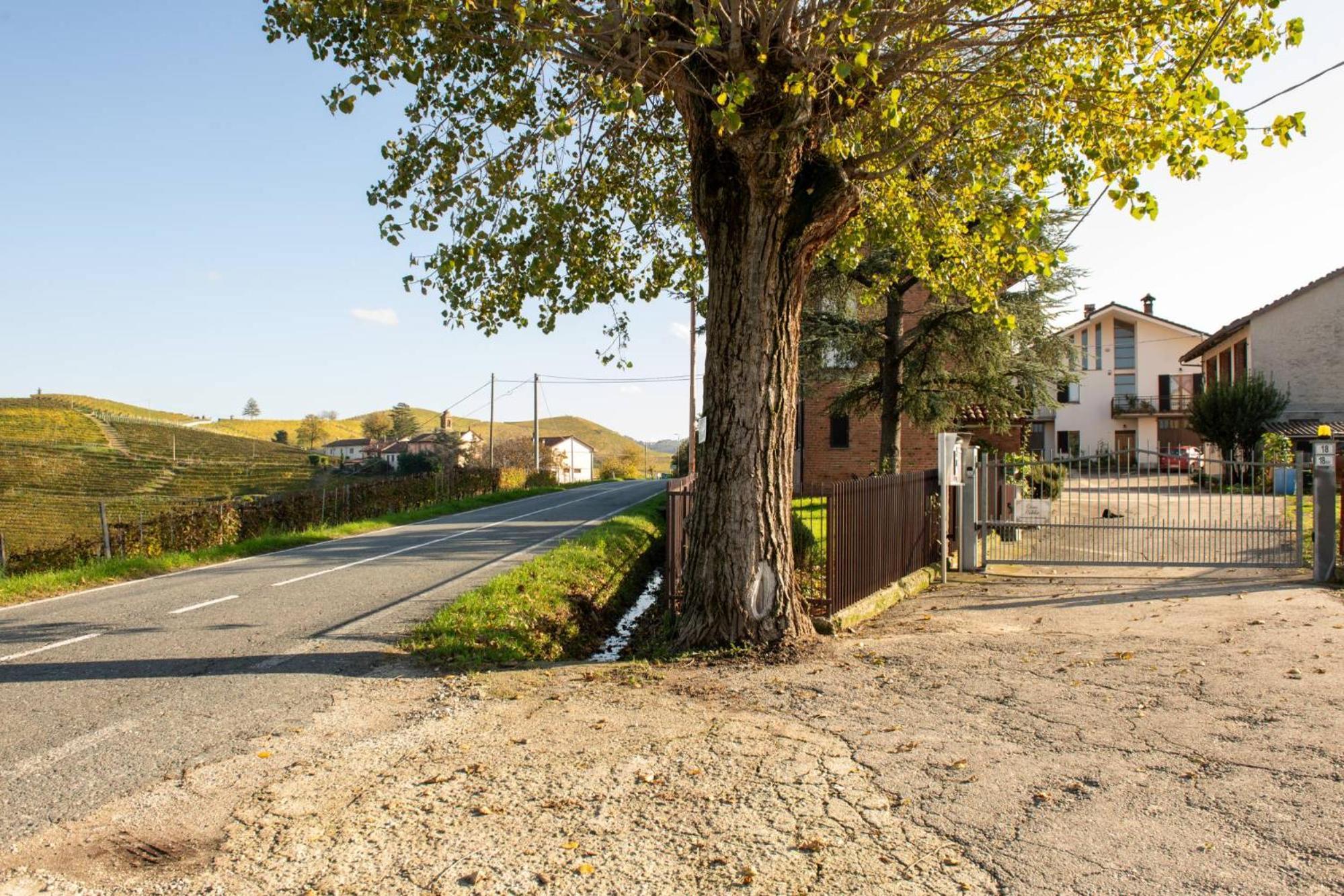 Casa Rubbo - Appartamento In Collina 'Monviso' อัลบา ภายนอก รูปภาพ